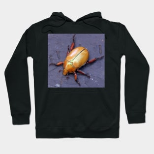 Christmas Beetle  - South Australia Hoodie